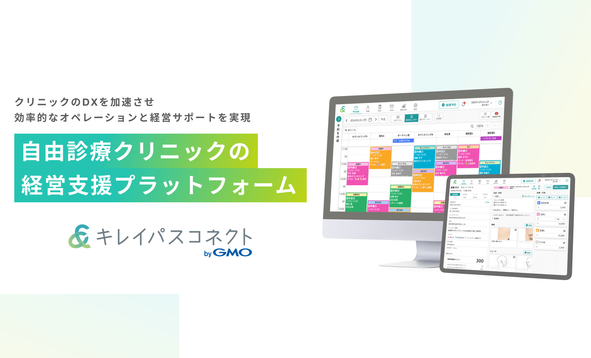 キレイパスコネクトbyGMO