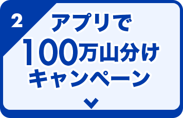 必ずもらえる!100万ポイント山分け！