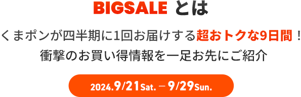 BIGSALEとは