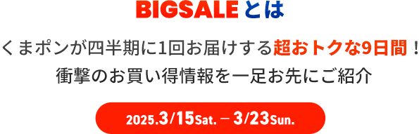 BIGSALEとは