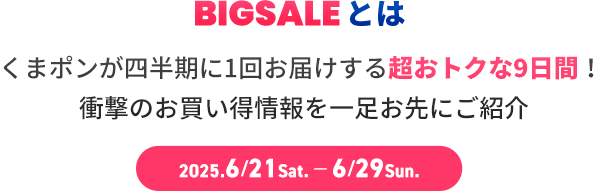 BIGSALEとは
