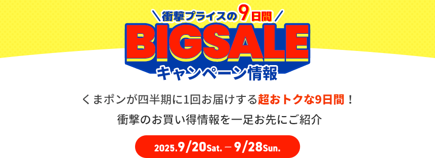BIGSALEとは