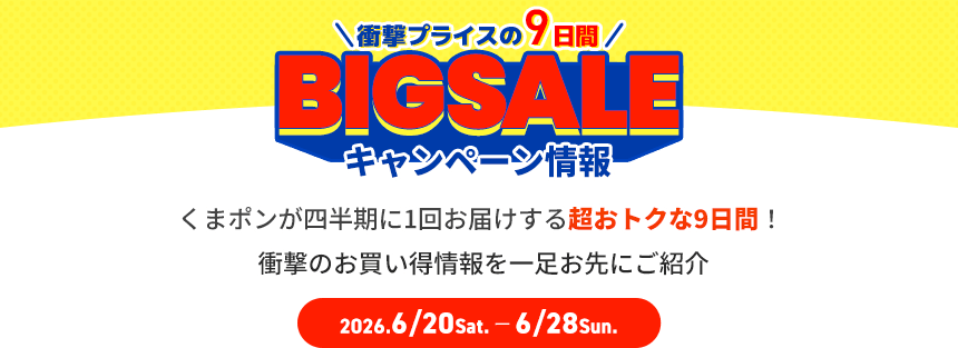 BIGSALEとは