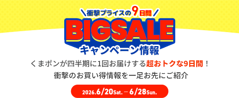 BIGSALEとは