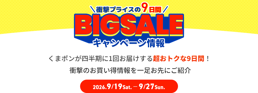 BIGSALEとは