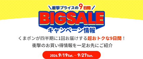 BIGSALEとは